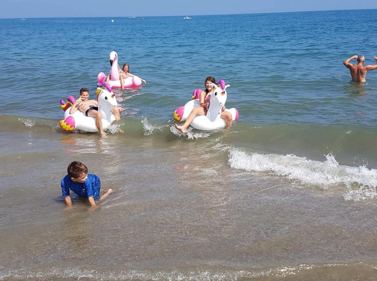 De Distel Daire Oostende Dış mekan fotoğraf